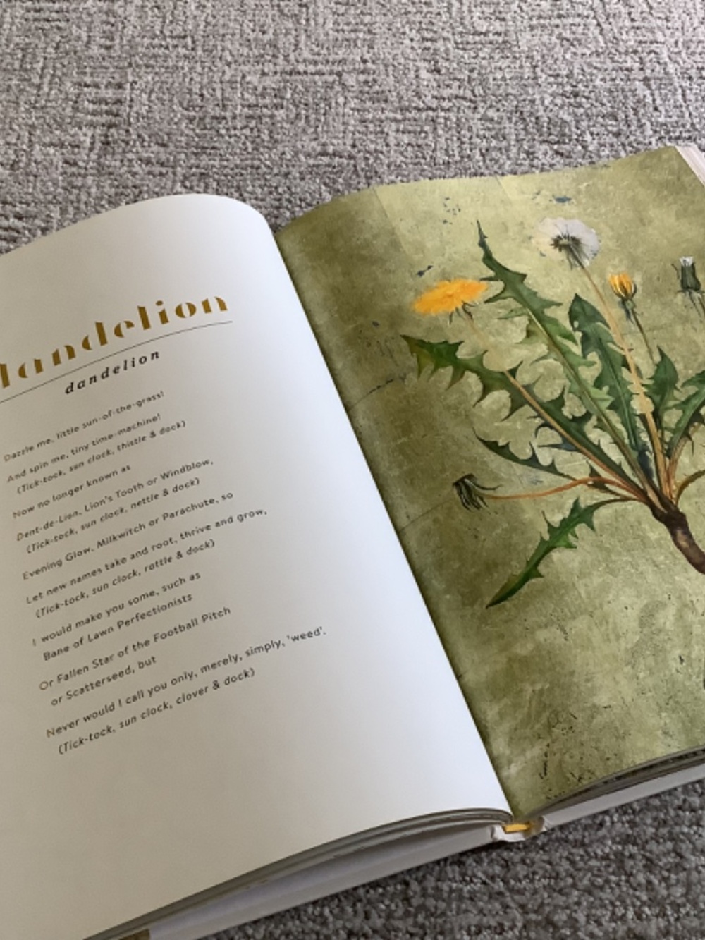 Bundle: The Lost Words Book and Puzzle - Picture 6 of 13